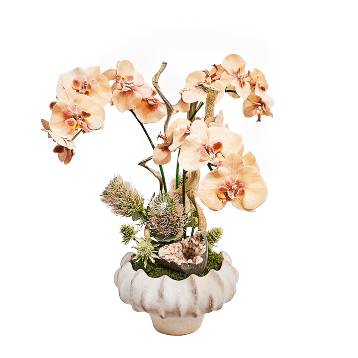 Orchids, Mineral Cluster, Protea, and Thistle on Twisted Vine in Concrete Planter. 24"H - LDF Silk