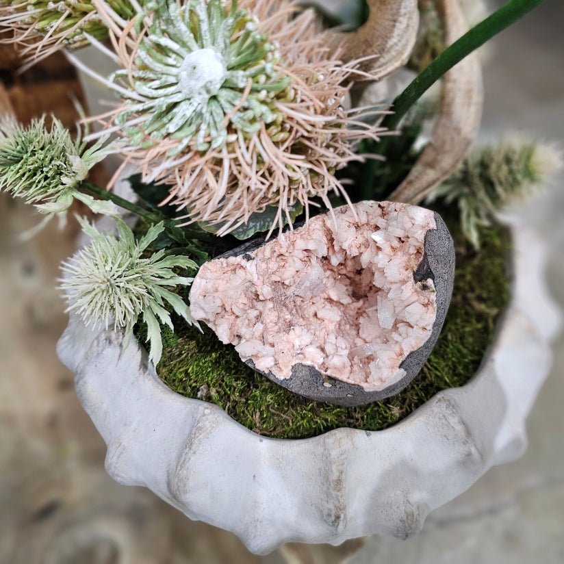 Orchids, Mineral Cluster, Protea, and Thistle on Twisted Vine in Concrete Planter. 24"H - LDF Silk