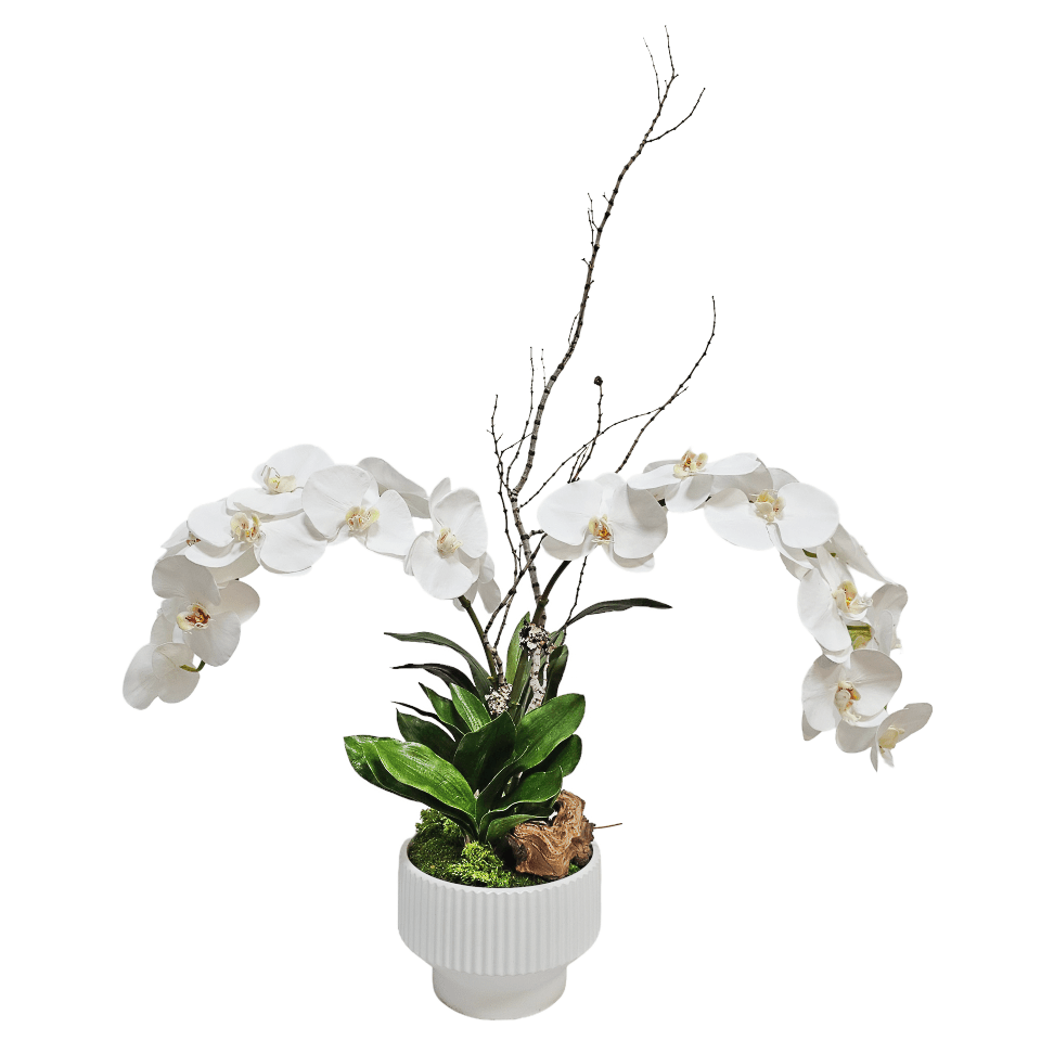 Orchids, Orchid Leaf, Wood Fragment, and Tigerwood Branches in Ribbed Pot. 40.75"H - LDF Silk