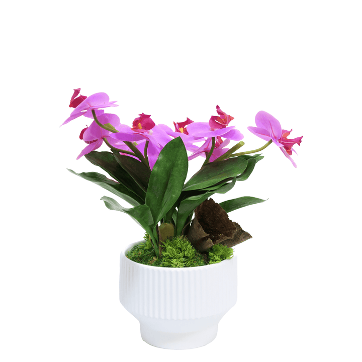Orchids, Orchid Leaves, and Calice in Ceramic 15"H - LDF Silk