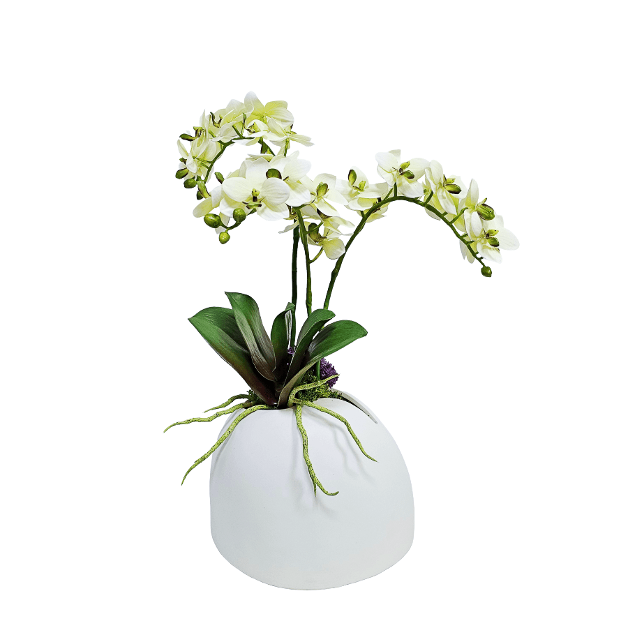 Orchids, Sedum, and Orchid Leaf in Ceramic Pot. 21.25"H - LDF Silk