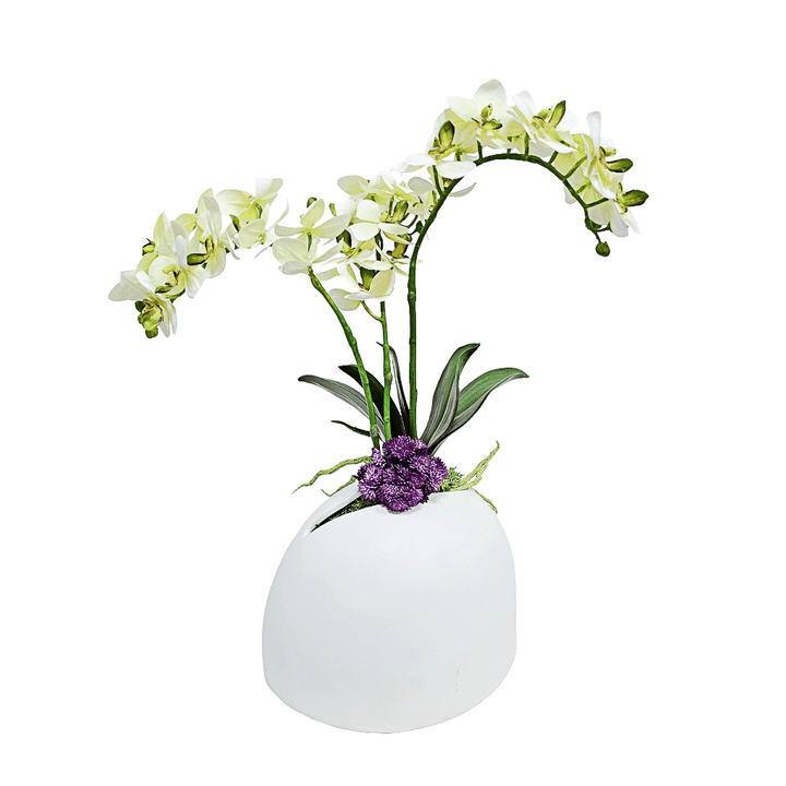 Orchids, Sedum, and Orchid Leaf in Ceramic Pot. 21.25"H - LDF Silk