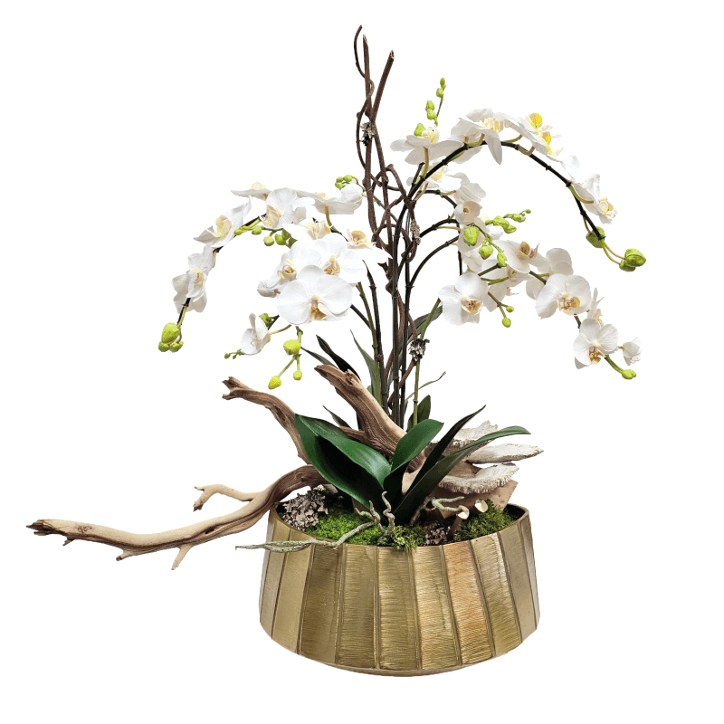 Orchids with Manzanita, Mushrooms and Accents in Metal Oval 31"H X 34"W X 25"D - LDF Silk