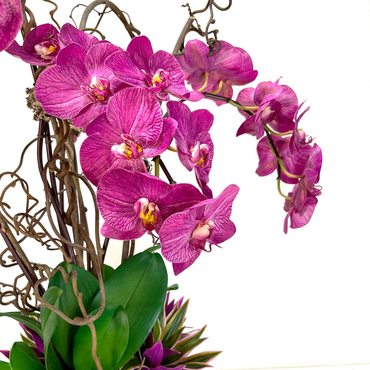 Orchids with Yucca and Kiwi Vines in Ceramic 44"H - LDF SilkFlorals