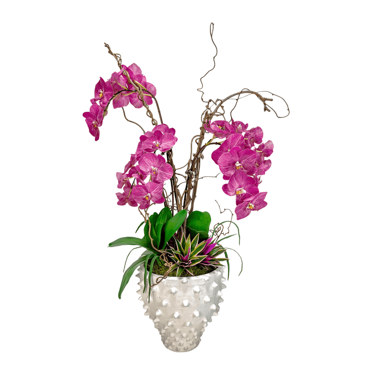 Orchids with Yucca and Kiwi Vines in Ceramic 44"H - LDF SilkFlorals