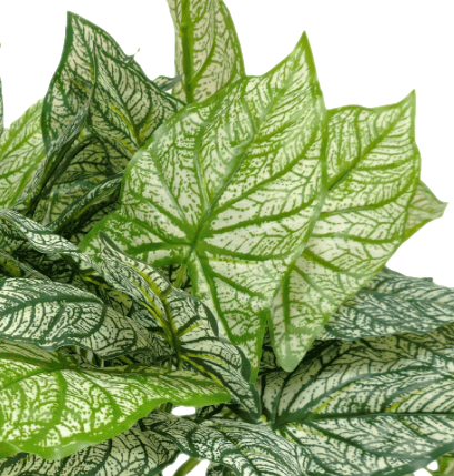 Outdoor Calladium in Grow Pot 24"H - LDF SilkArtificial Flora