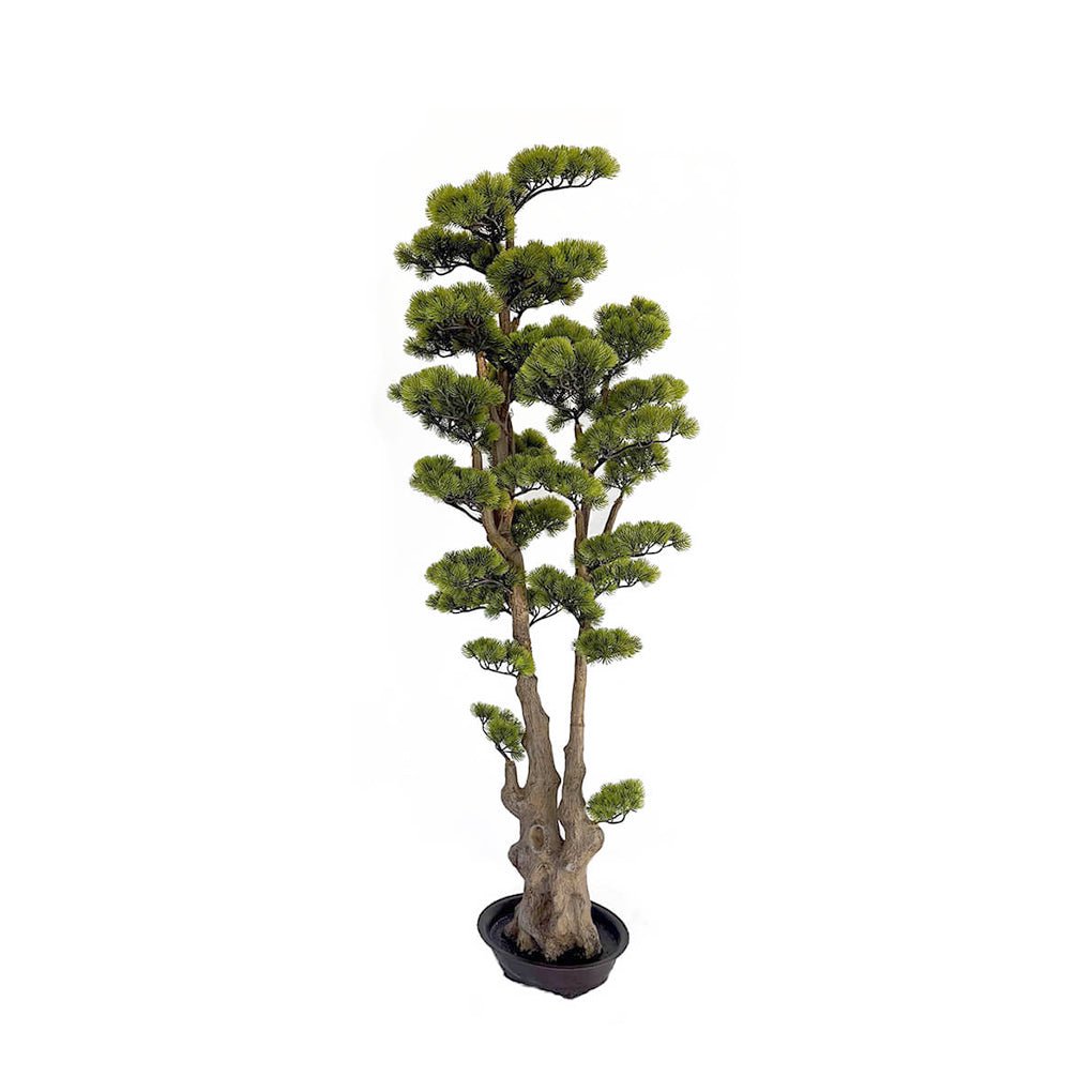 tall artificial bonsai tree Outdoor Cypress Bonsai Tree in Grow Pot 66"H – LDF Silk