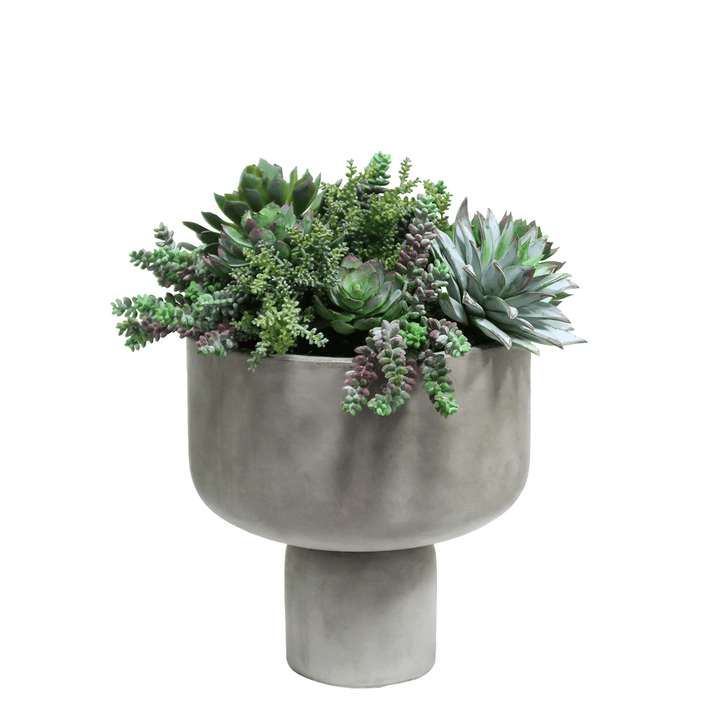 Outdoor Succulent Mix in Concrete 16"H - LDF Silk