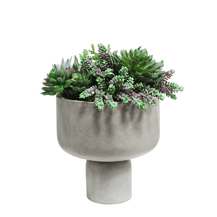 Outdoor Succulent Mix in Concrete 16"H - LDF Silk