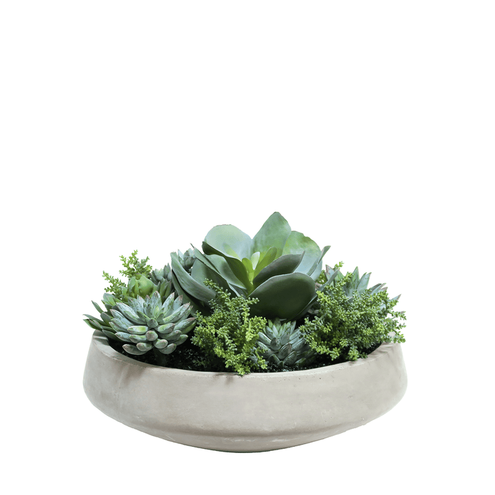 Outdoor Succulent Mix in Concrete Bowl 12"H - LDF Silk