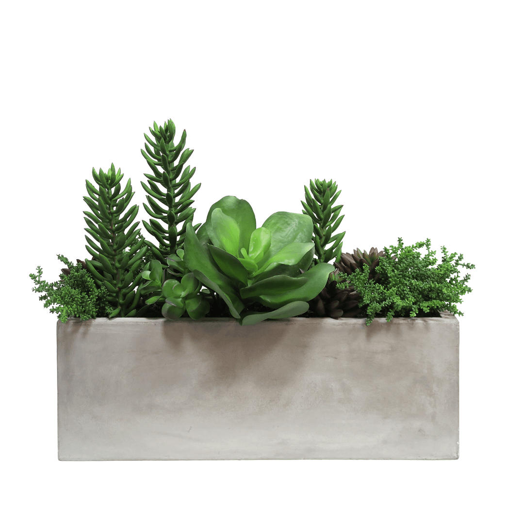 Outdoor Succulent Mix in Concrete Rectangle 19"H - LDF Silk