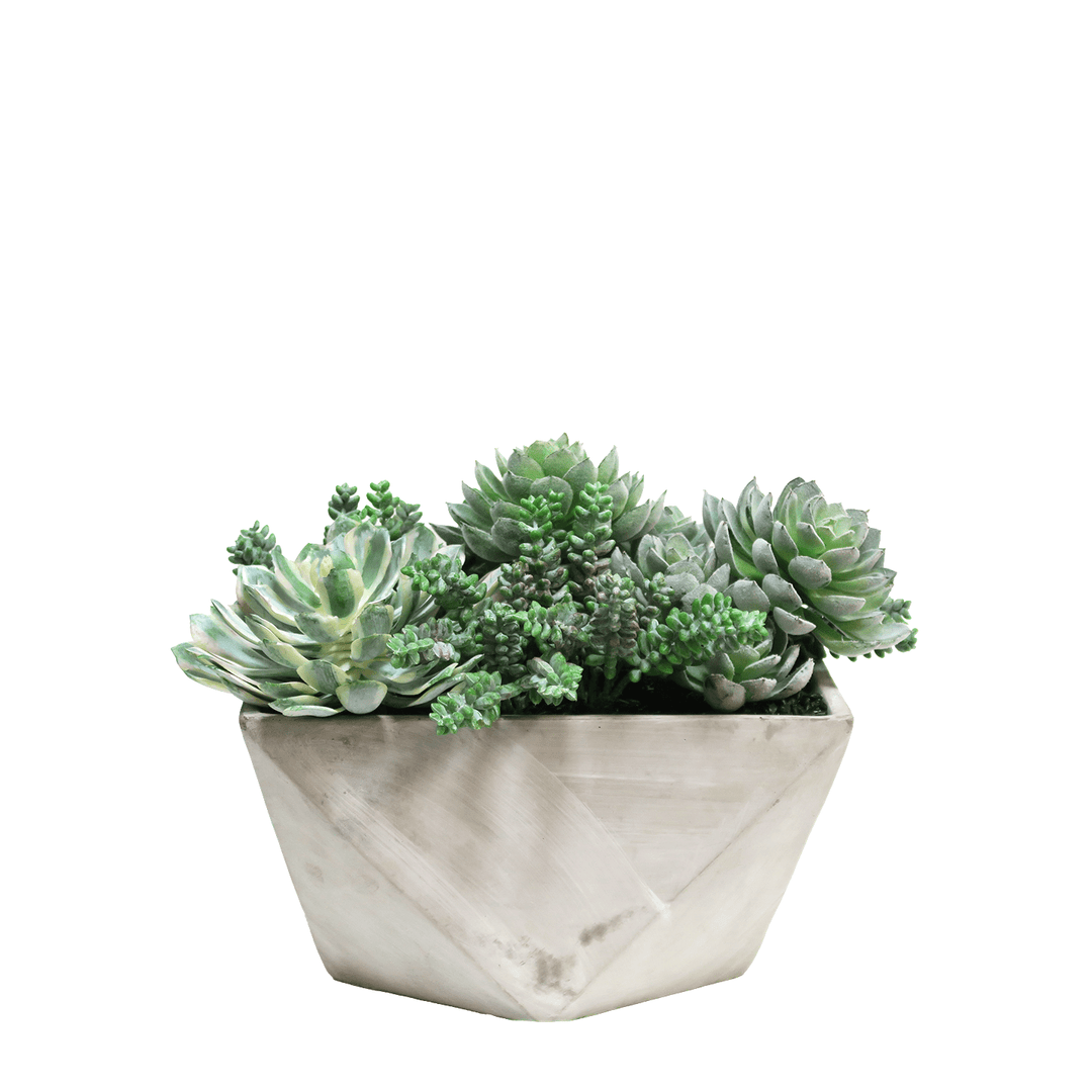 Outdoor Succulent Mix in Geometric Concrete 10"H - LDF Silk