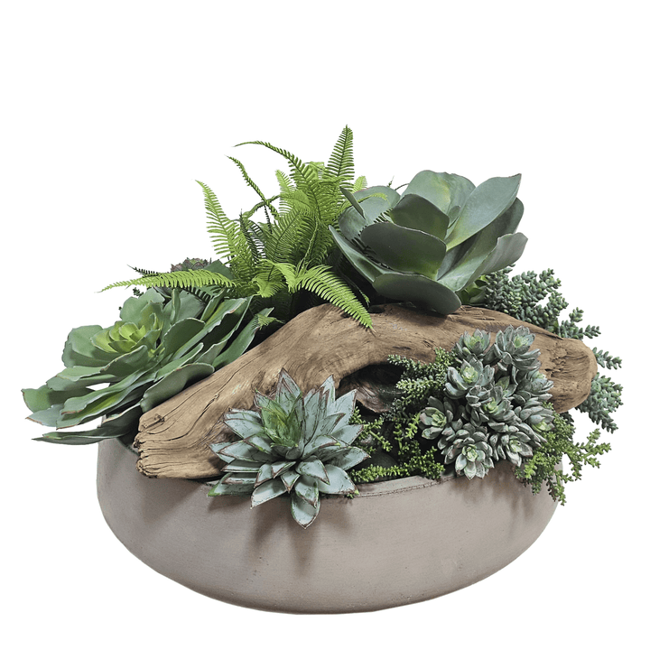 Outdoor Succulents and Driftwood in Planter 18"H - LDF Silk