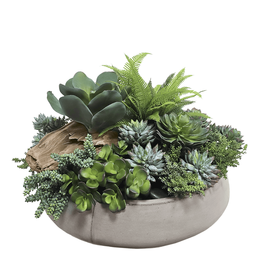 Outdoor Succulents and Driftwood in Planter 18"H - LDF Silk