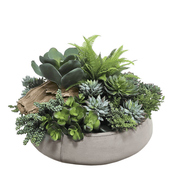 Outdoor Succulents and Driftwood in Planter 18"H - LDF Silk