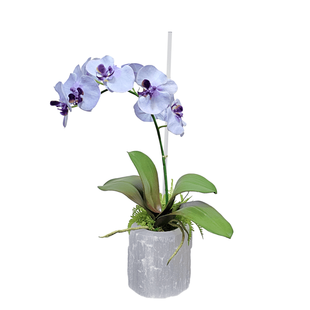 Pale Purple Phalaenopsis Orchid in Selenite Vase 21"H - LDF Silk