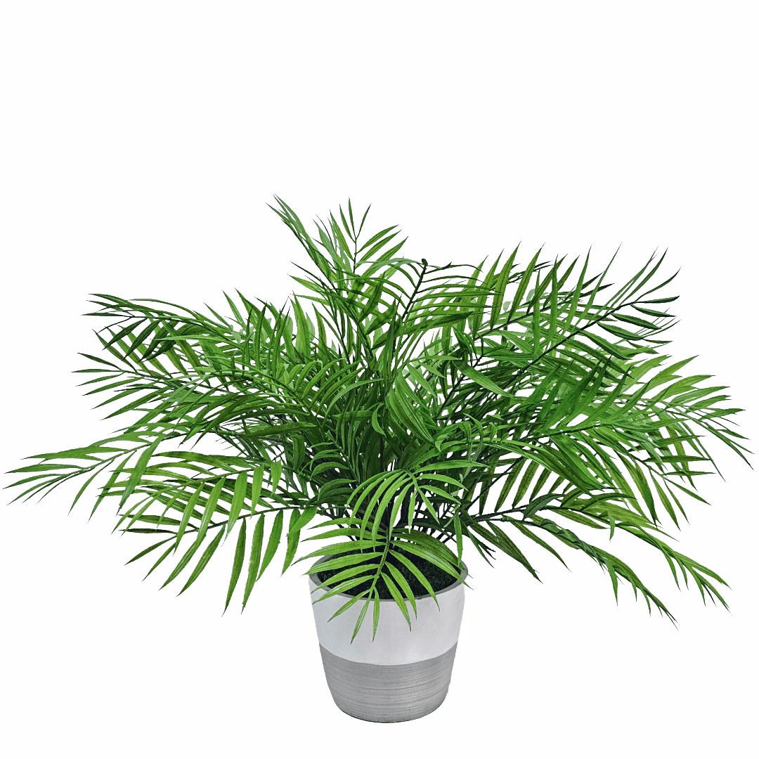 Palm Bush in Cement Planter 21.5H x 26.5W x 21.5D - LDF Silk