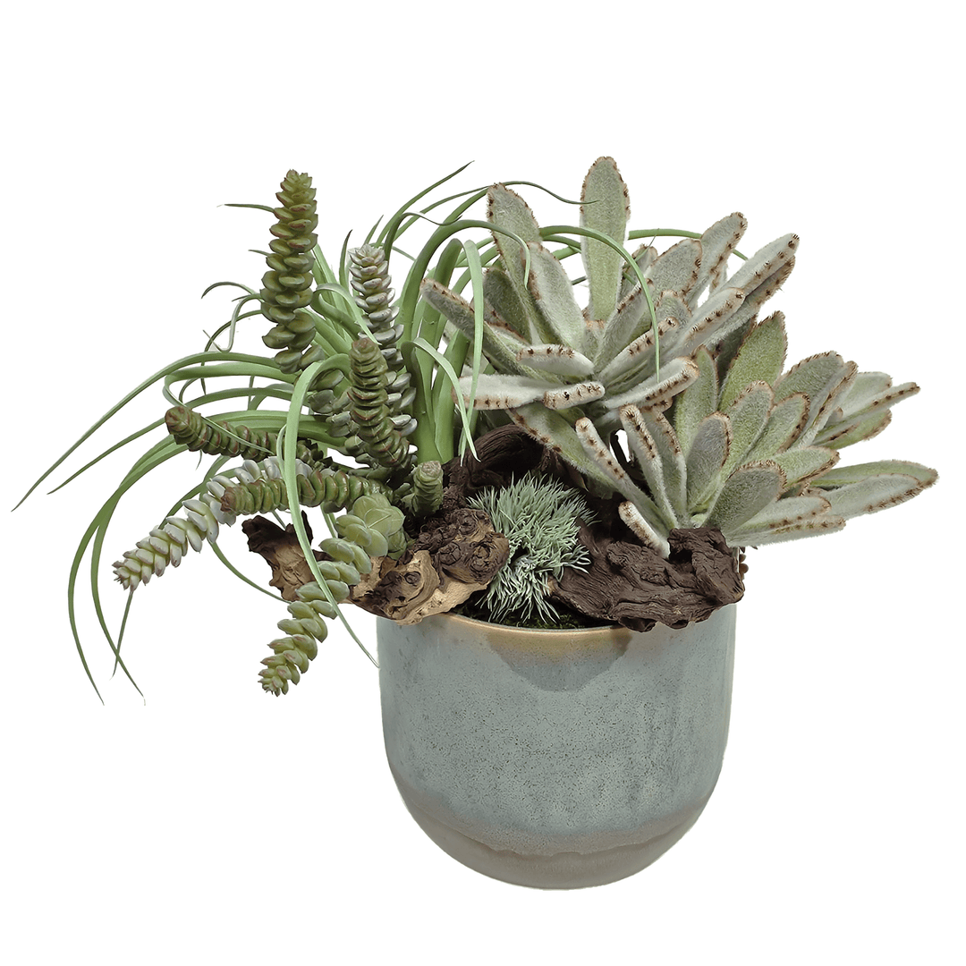 Panda Succulents, Burro's Tail, Tillandsia and Wood Fragment in Glazed Ceramic 14"H - LDF Silk