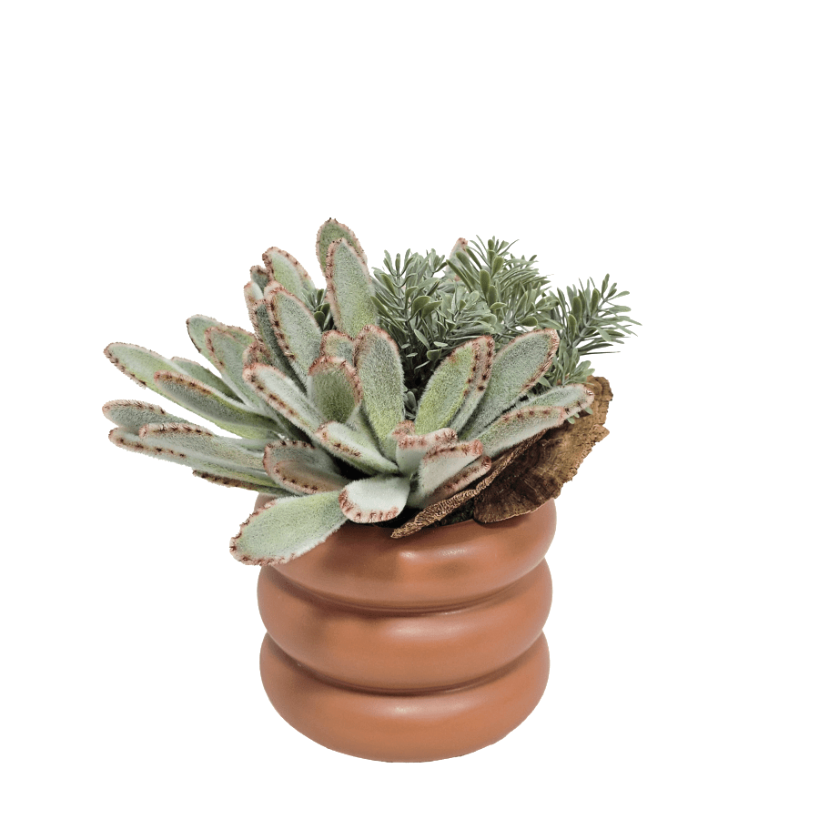 Panda Succulents with Sponge Mushrooms in Terra Cotta Layered Ceramic 10"H - LDF Silk