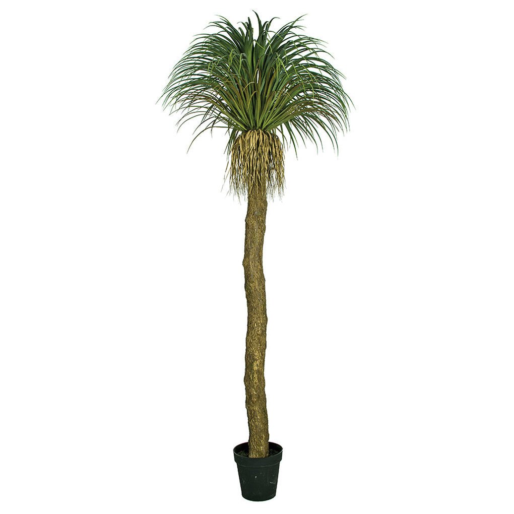 Pandanifolia Grass Tree in Grow Pot 90"H - LDF Silk