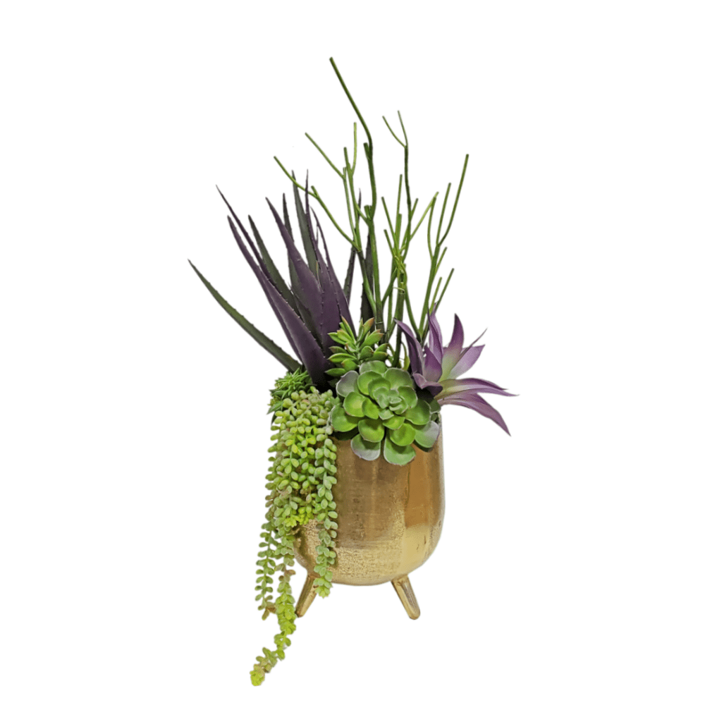 Pencil Cactus, Aloe and Succulents in Container FH: 26"H - LDF Silk
