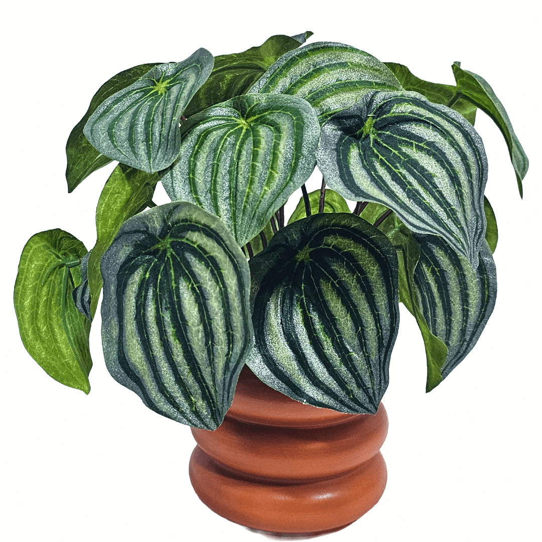 Peperomia Leaf Bush in Terracotta Ribbed Ceramic 9.5"H x 9.5"DIA - LDF Silk