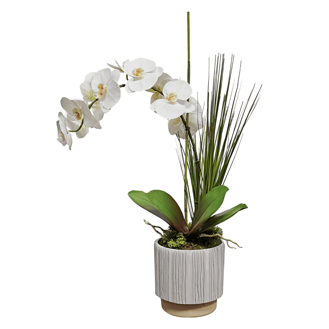Phalaenopsis Orchid, Leaves and Grass in Ceramic FH: 30" - LDF Silk