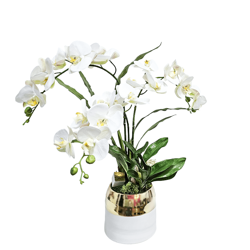 Phalaenopsis Orchid, Orchid Leaves, Accent Cube, and Allium in Ceramic Pot. 26.5"H - LDF Silk
