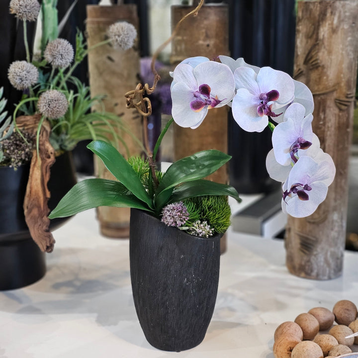 Phalaenopsis Orchid with Allium in Asymmetrical Textured Ceramic Vase. FH: 30"H - LDF Silk