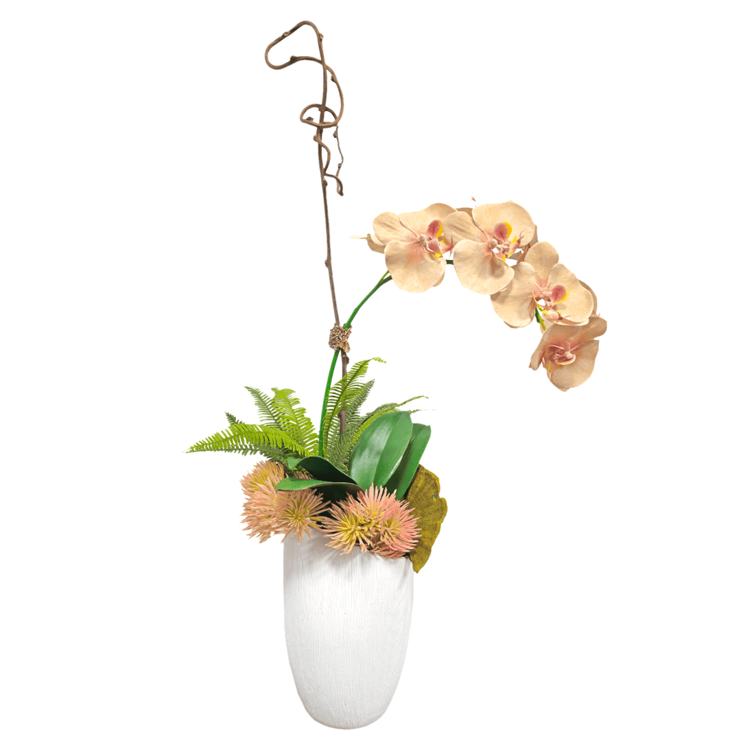 Phalaenopsis Orchid with Fern and Succulents in Textured Vase. FH: 30"H - LDF SilkArtificial Flora