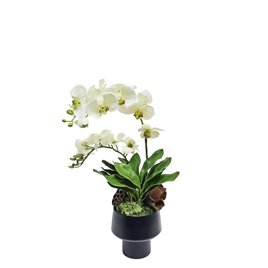 Phalaenopsis Orchids, Orchid Leaf, Calice, and Lotus Pods in Metal Pot. 22.5"H - LDF Silk