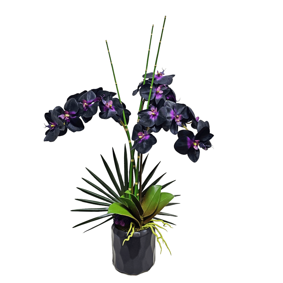Phalaenopsis Orchids, Orchid Leaf, Horsetail Reeds, and Fan Palm in Ceramic 32"H x 22"W x 16"D - LDF Silk