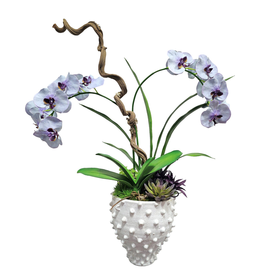 Phalaenopsis Orchids with Curly Vine in Textured Container. FH: 36" - LDF SilkArtificial Flora