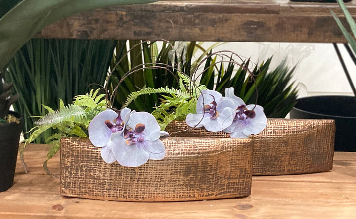 Phalaenopsis Orchids with Ferns and Succulents in Boat FH: 10" - LDF Silk