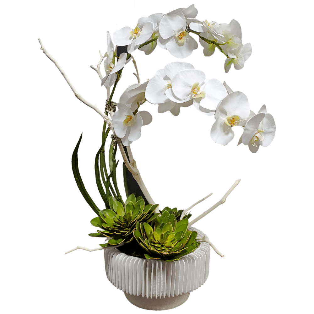 Phalaenopsis Orchids with Leaves and Succulents in Ceramic 30"h - LDF Silk