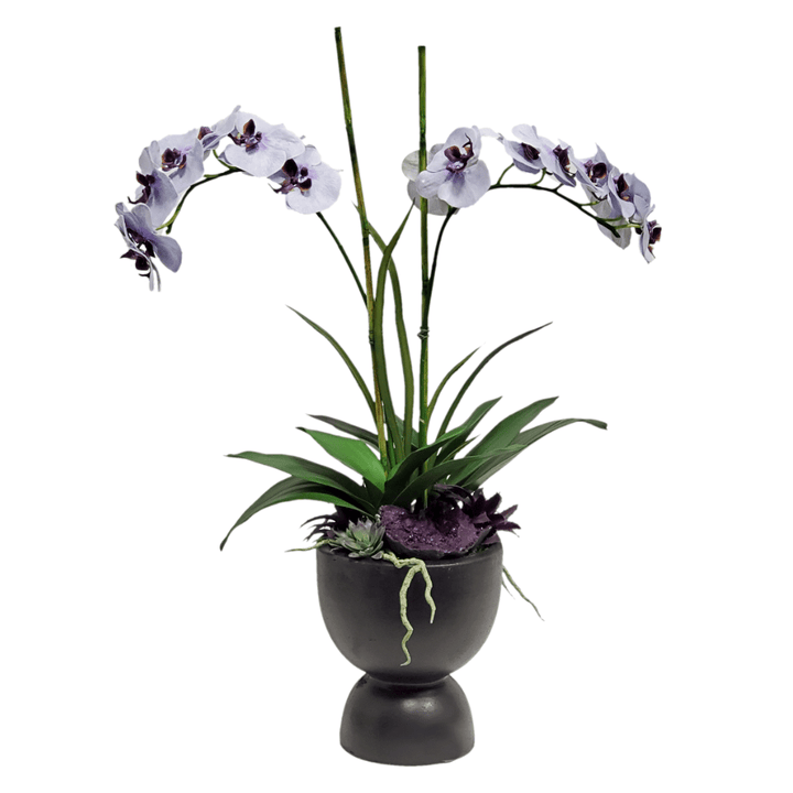 Phalaenopsis Orchids with Leaves, Geode and Succulents in Bowl 34"H - LDF Silk