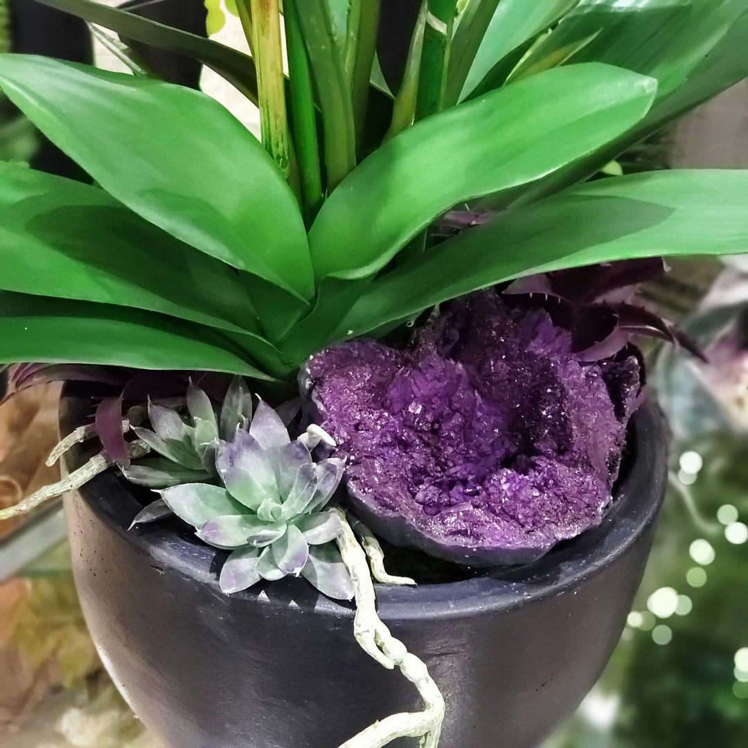 Phalaenopsis Orchids with Leaves, Geode and Succulents in Bowl 34"H - LDF Silk