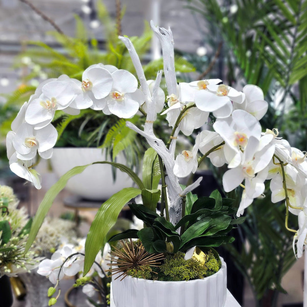 Phalaenopsis Orchids with Leaves, Ghostwood and Objects in Patterned Ceramic Bowl. FH: 29" - LDF SilkArtificial Flora