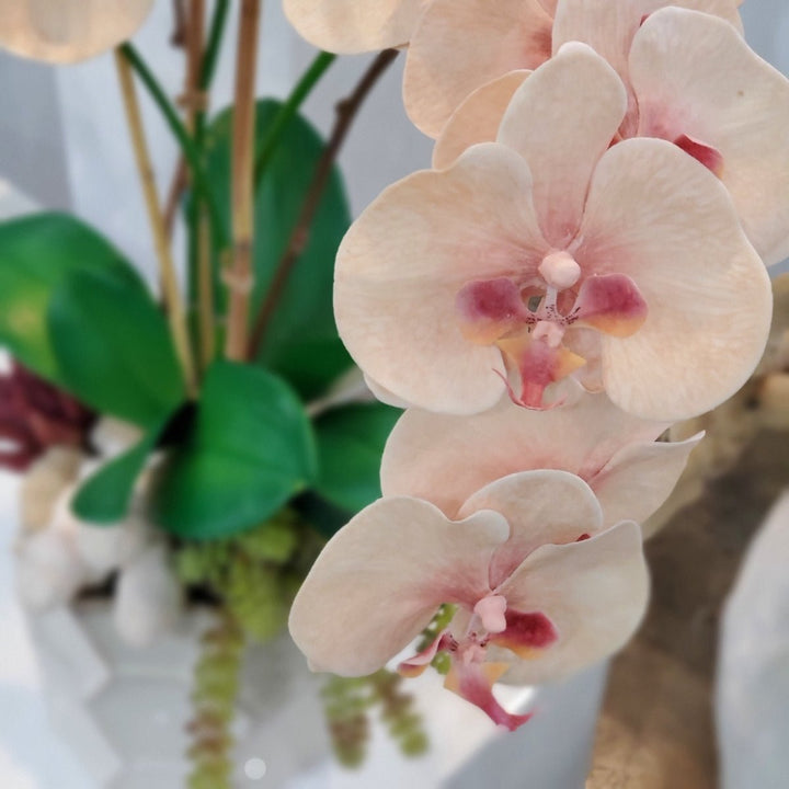 Phalaenopsis Orchids with Leaves, Succulents and Cave Coral in Container 32"H - LDF Silk