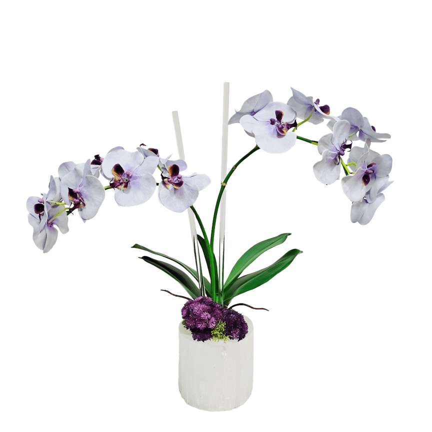 Phalaenopsis Orchids with Mushrooms in Selenite Vase 22.5"H - LDF Silk
