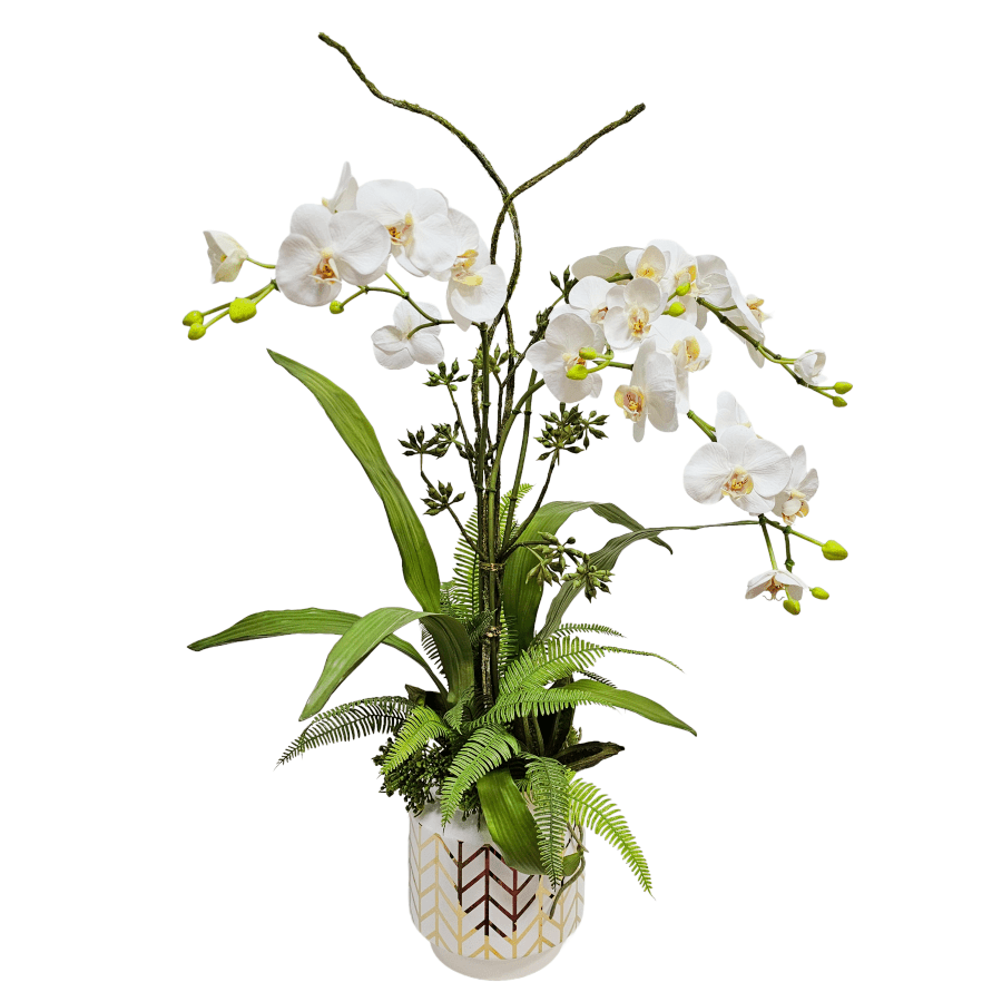 Phalaenopsis Orchids with Sora Pods in White Ceramic with Gold Design 33"H X 23"DIA - LDF Silk