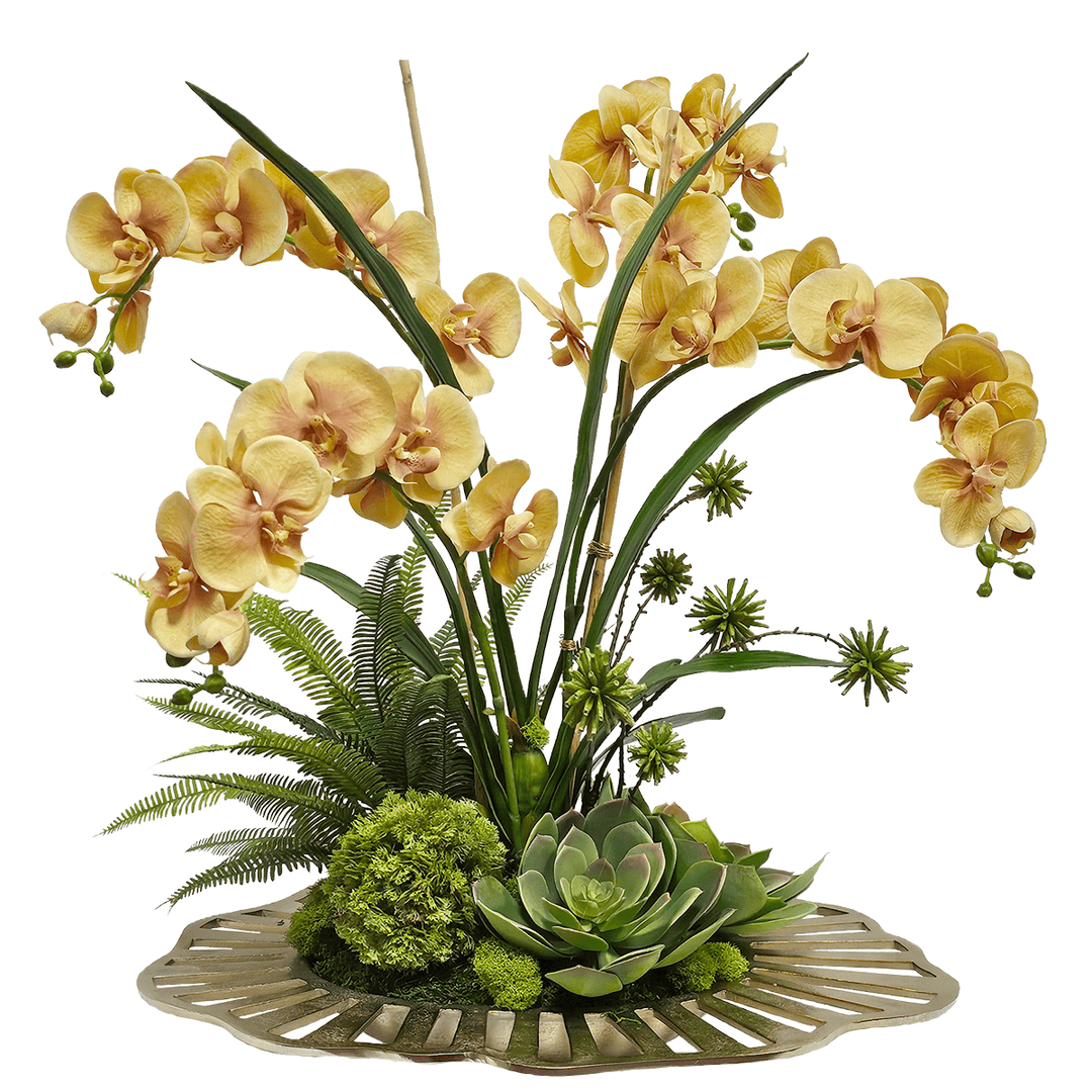 Phalaenopsis Orchids with Succulents in Cut Out Gold Metal Low Bowl. FH: 29"H - LDF SilkArtificial Flora