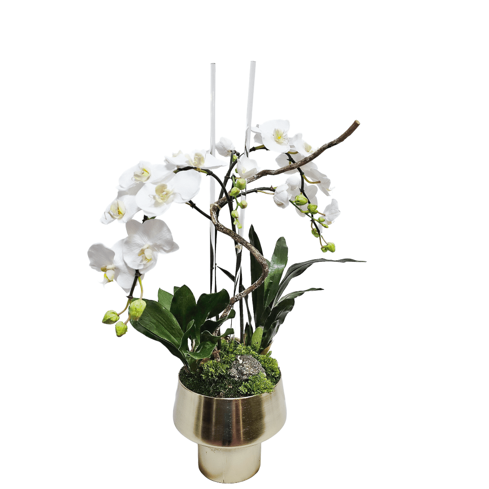 Phalaeonopsis Orchids on Acrylic Rods with Leaves, Pyrite and Metal Bee in Metal Bowl 31"H - LDF Silk