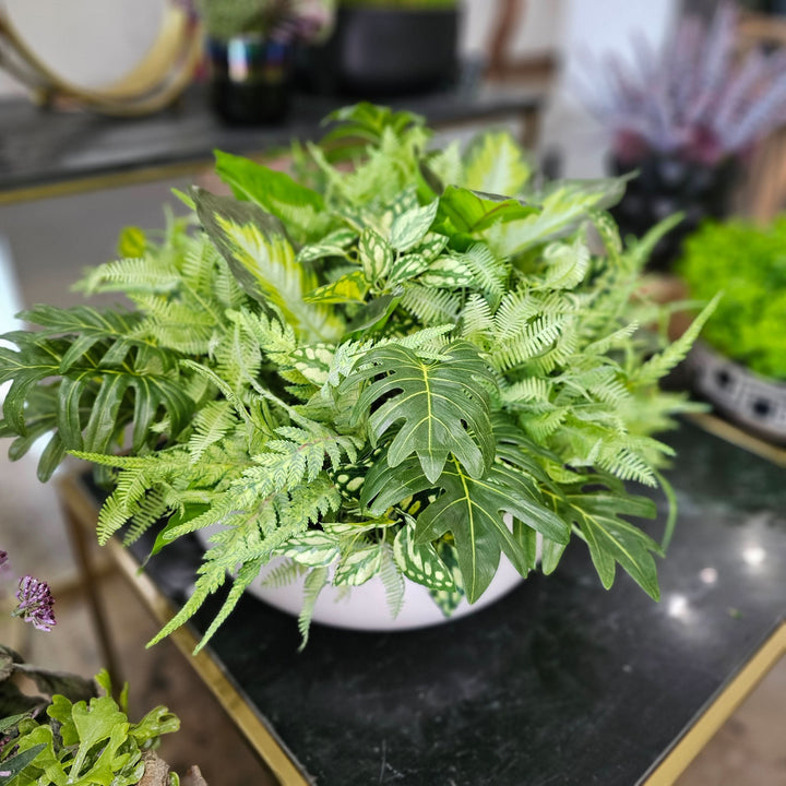 Philodendron and Ferns in Ceramic 16"H X 21"DIA - LDF Silk