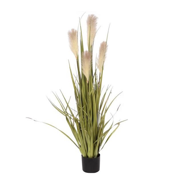 Premade Reed Grass with Flowers in a Grow Pot FH: 48" - LDF Silk