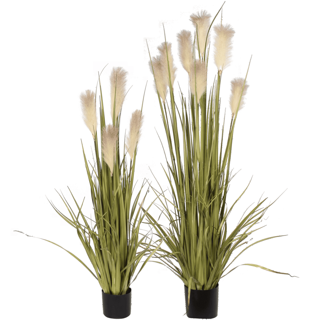 Premade Reed Grass with Flowers in a Growers Pot FH: 48" - LDF Silk
