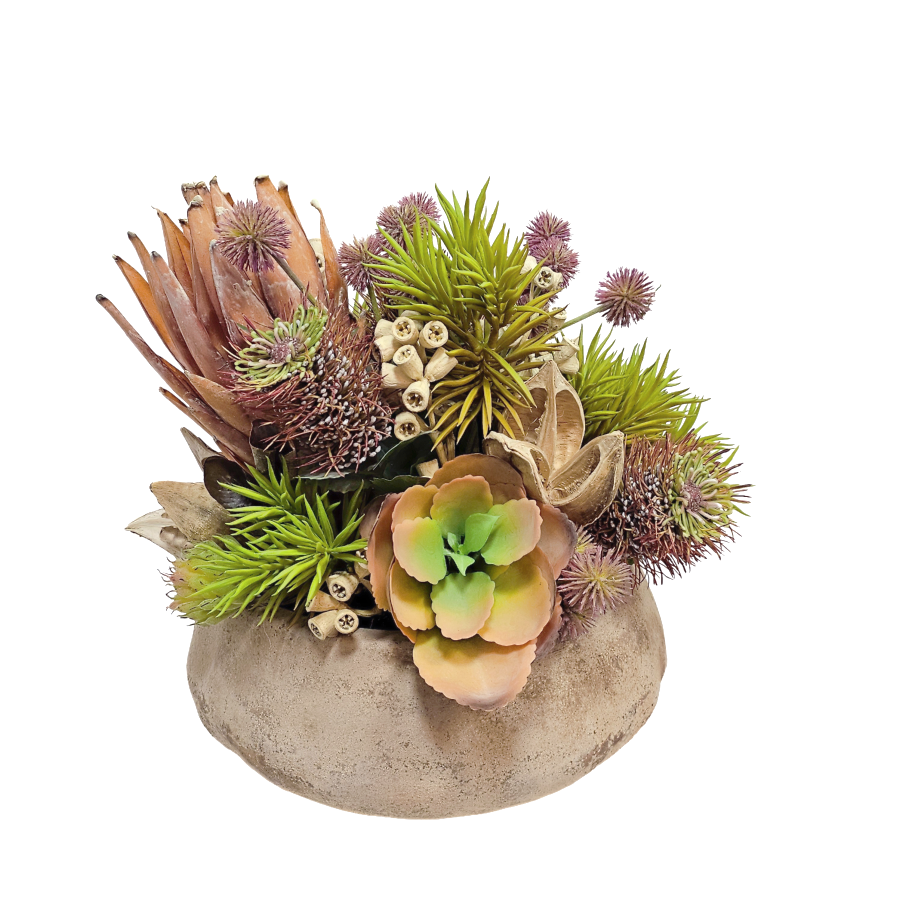 Protea, Aeonium Pick, Crassula, Senecio, Globe Thistle, Sora Pods, and Conical Gum Branches in Concrete Bowl 16"H x 19"Dia - LDF Silk