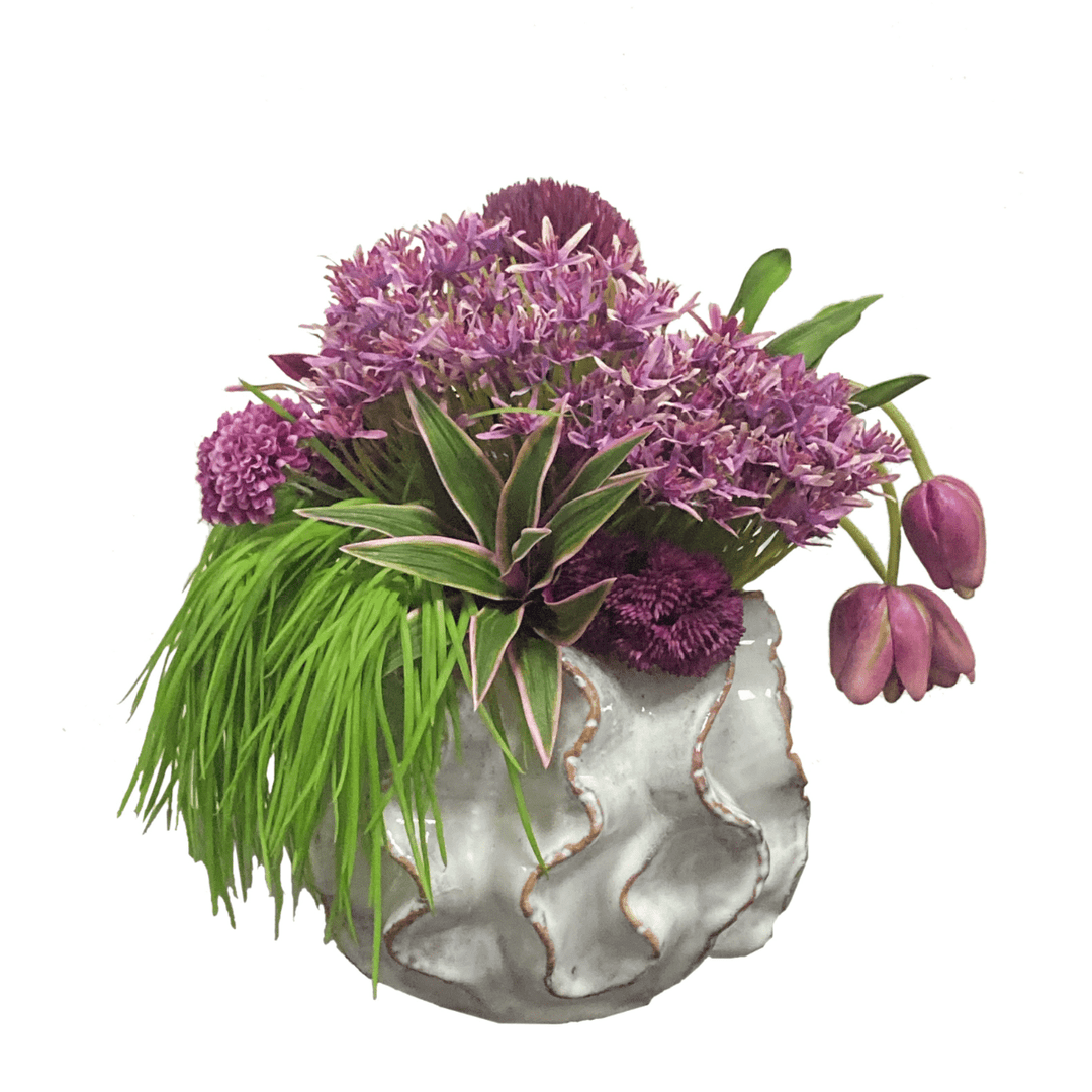 Protea, Allium, Tulips and Succulents in a Ceramic FH: 12" - LDF Silk
