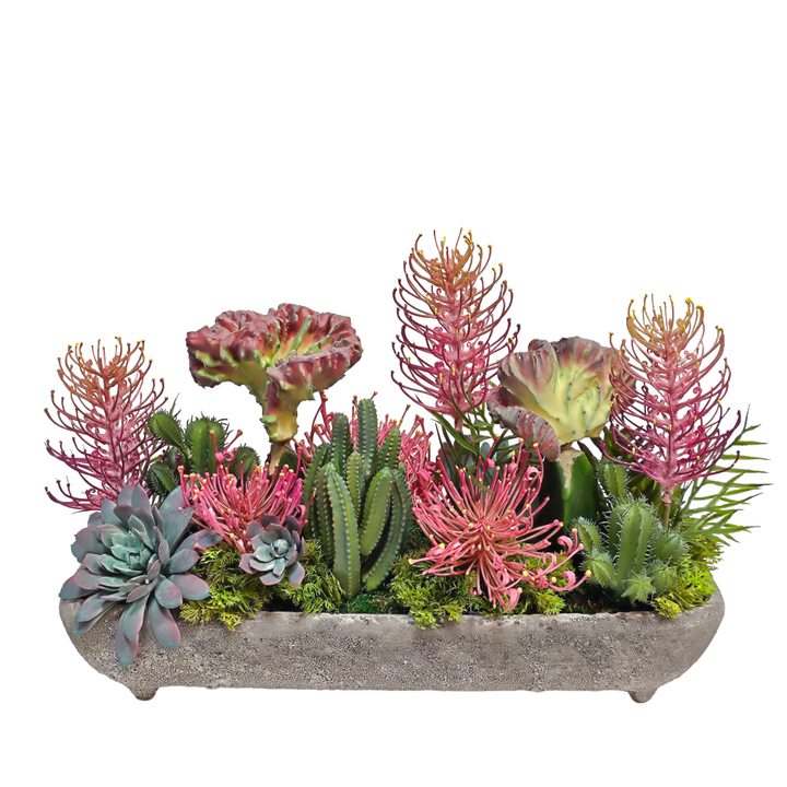 Protea, Cactus and Succulents in Concrete 11.5"H - LDF Silk