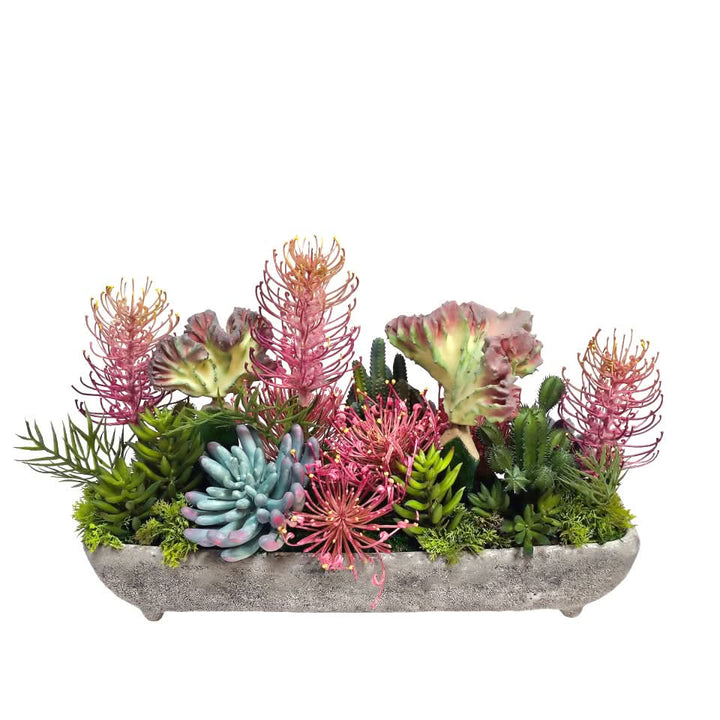 Protea, Cactus and Succulents in Concrete 11.5"H - LDF Silk